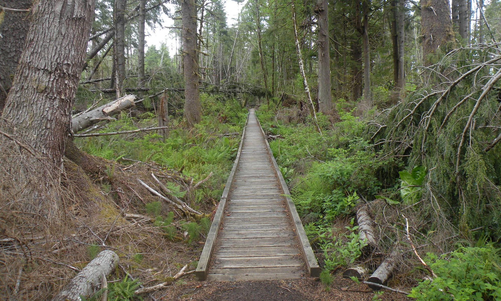 Bridge at Lewis and Clark State Park